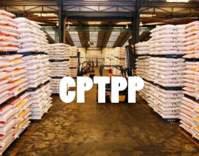 What is the impact of the CPTPP Agreement?
